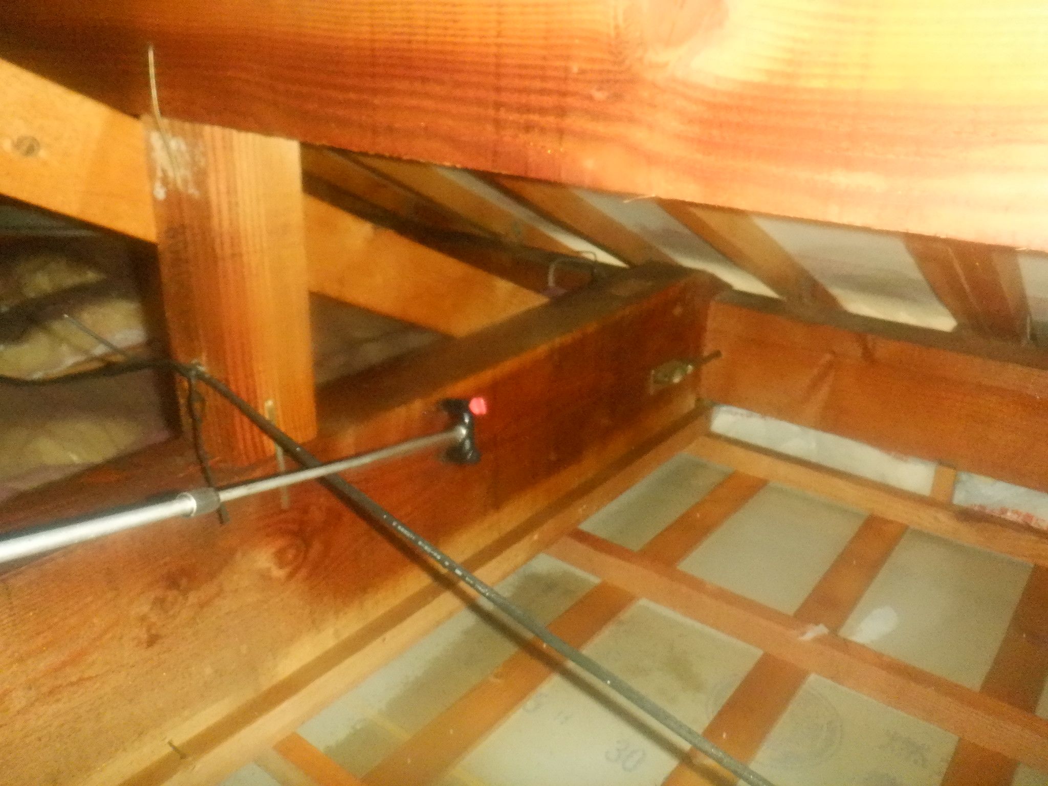 カンザイシロアリ駆除・予防について