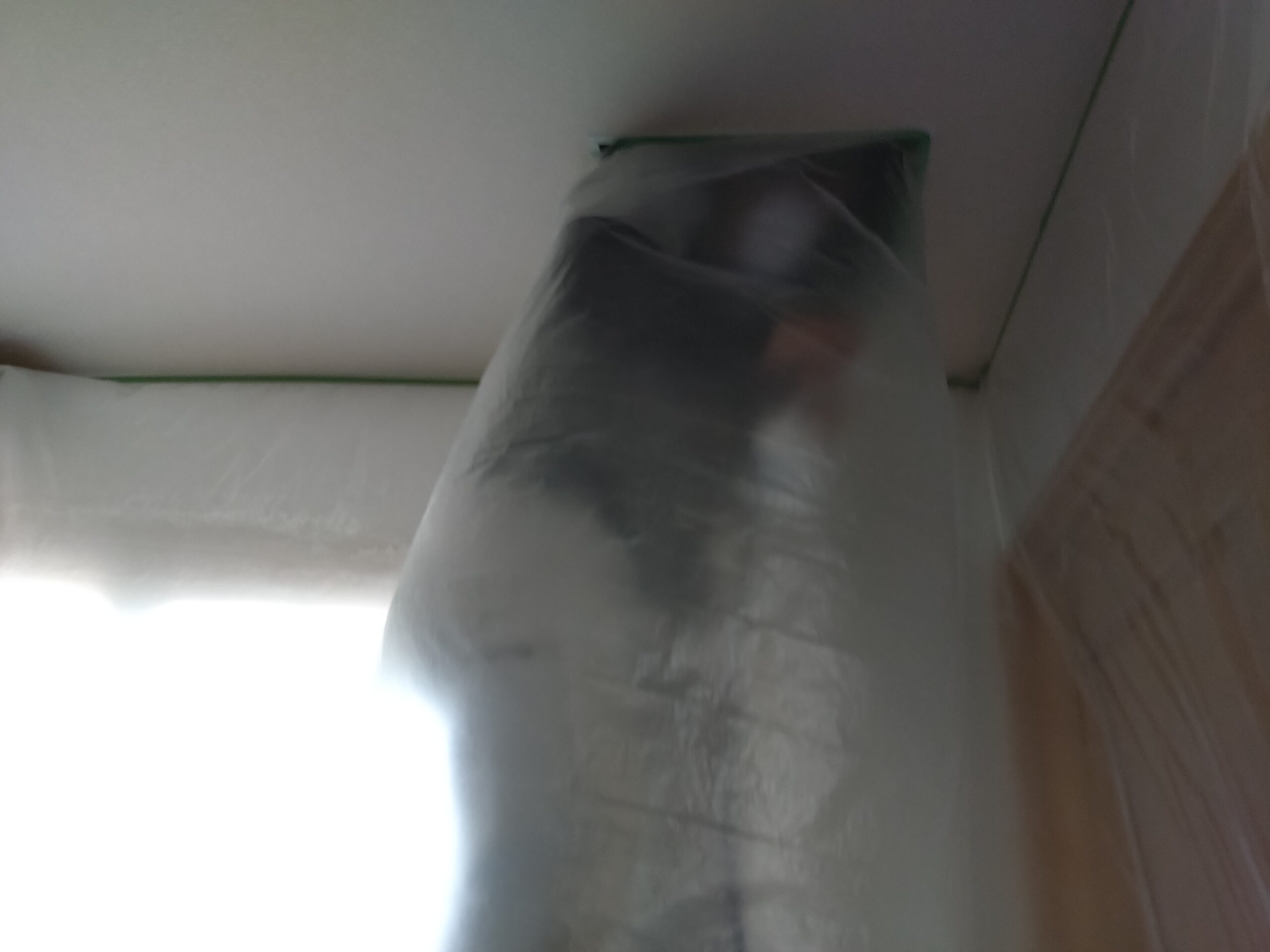 アメリカカンザイシロアリ対策工事・１階の天井裏処理