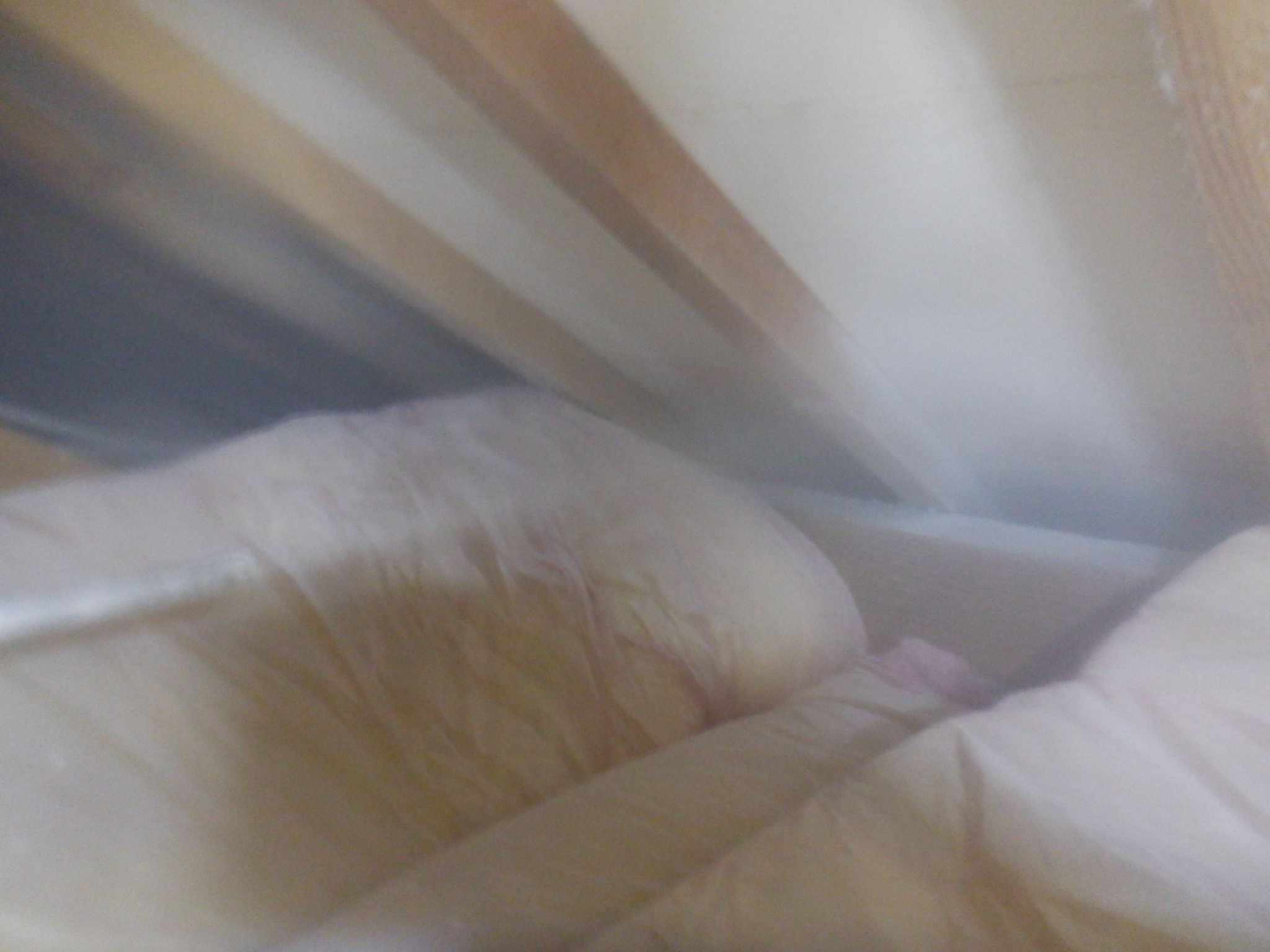 アメリカカンザイシロアリ対策工事・2階の天井裏処理